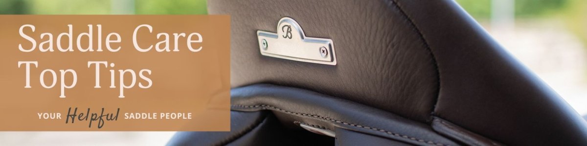 5 Top Tips for Saddle Care - Saddles Direct