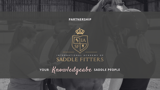 Saddles Direct and IASF Join Forces to Support Saddle Fitters and Equine Welfare - Saddles Direct