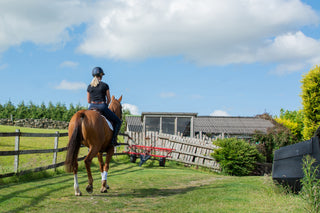 Saddle Trial