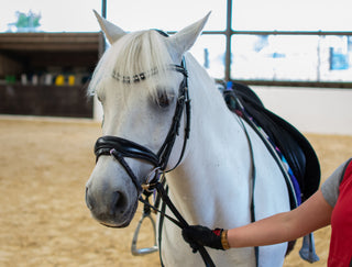 New and Used Pony Saddles