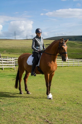 Trial a horse saddle from Saddles Direct