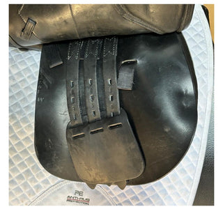 Harry Dabbs Hunter Jump Black 17.5" W 6 | Saddles Direct