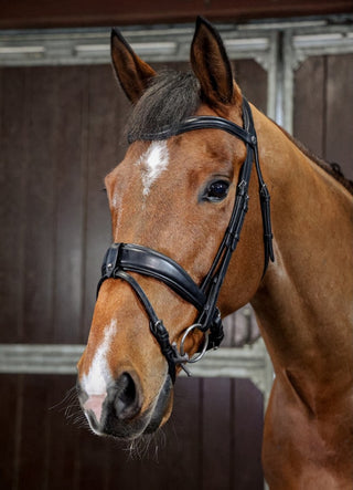 Henry James Saddlery 3D Dressage bridle 2 | Saddles Direct