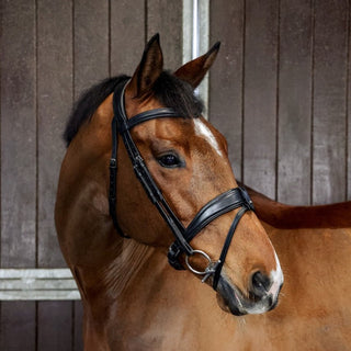 Henry James Saddlery 3D Dressage bridle 1 | Saddles Direct