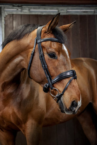 Henry James Saddlery 3D Dressage bridle 3 | Saddles Direct