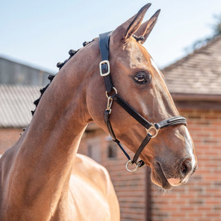 Henry James Saddlery Comfort 3D Air Headcollar 1 | Saddles Direct
