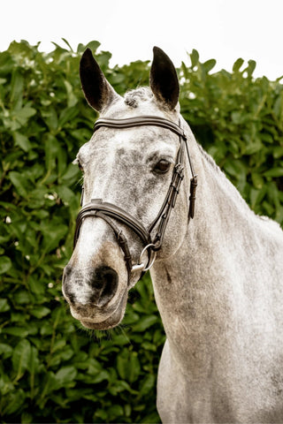 Henry James Saddlery Comfort 3D Flash Bridle 1 | Saddles Direct