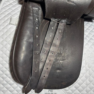 Ideal Ramsay WH/Show Brown 17" M 5 | Saddles Direct