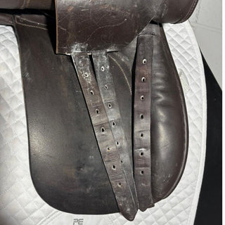 Ideal Ramsay WH/Show Brown 17" M 6 | Saddles Direct
