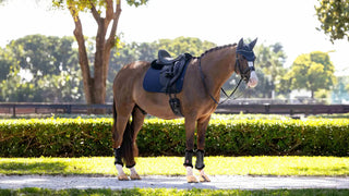 Lemieux Essence Dressage Square Navy 4 | Saddles Direct