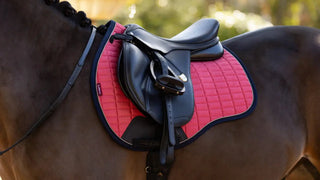 Lemieux GP Square Cranberry 2 | Saddles Direct