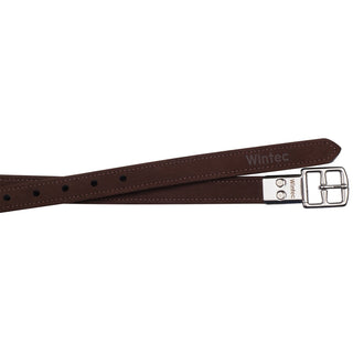Wintec Pro Stirrup Straps 2 | Saddles Direct
