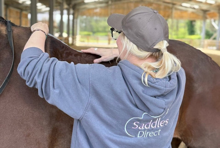 Building Your Horse's Topline From the Ground: A Head Start Before Ridden Work - Saddles Direct