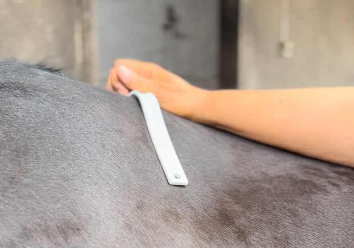 Choosing the Correct Gullet Bar Size for Your Adjustable Saddle - Saddles Direct