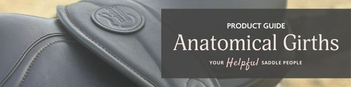 Complete Guide to Anatomical Girths for your Saddle - Saddles Direct