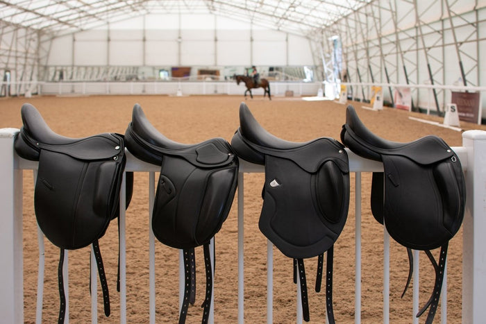 Dressage Saddle Buyer’s Guide 2025 - Saddles Direct