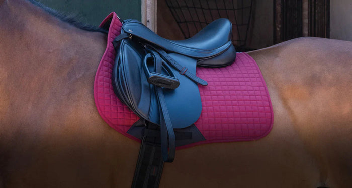 Thorowgood T9 Buyers Guide: Which T9 Saddle is Right for You? - Saddles Direct