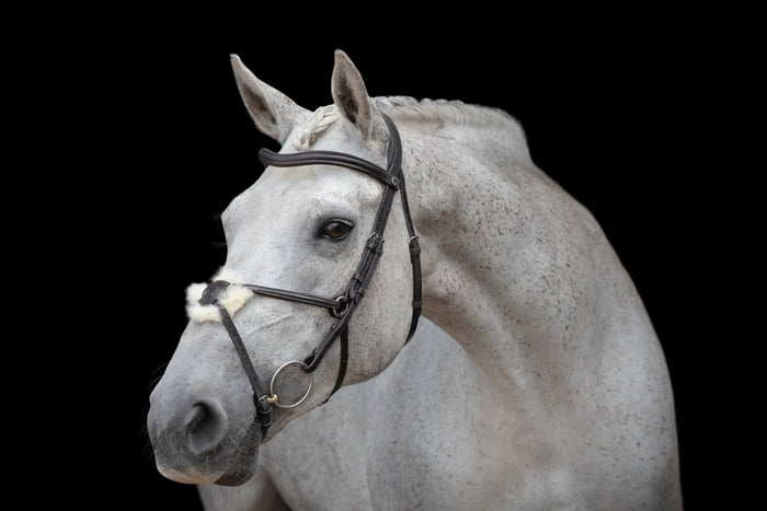Why We Love Henry James Saddlery And Why You Will Too - Saddles Direct
