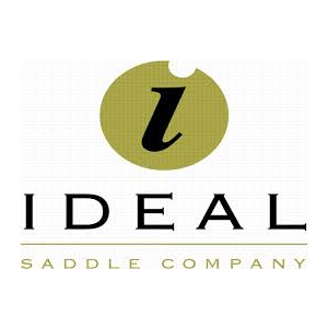 Ideal Saddles
