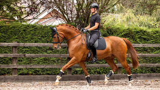 LeMieux Soft Shell Anti Slip Square Saddle Pad Black lifestyle 2