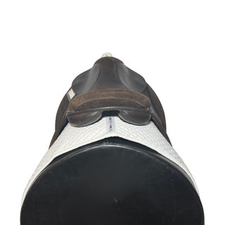 Fylde Samantha Working Hunter/Show 17" XW