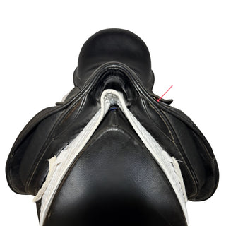 Black Country Eloquence *Classic Tree* Dressage Black 17.5" M