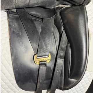 Black Country Eloquence *Classic Tree* Dressage Black 17.5" M
