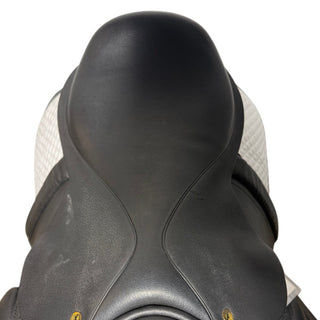 Black Country Classic Show Black 17" XW