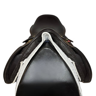 Black Country Shire / Maxi Show Brown 18" XW