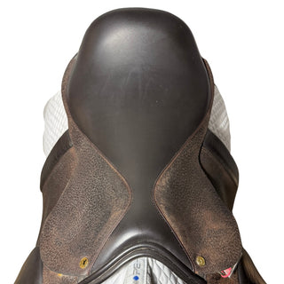 Black Country Shire / Maxi Show Brown 18" XW