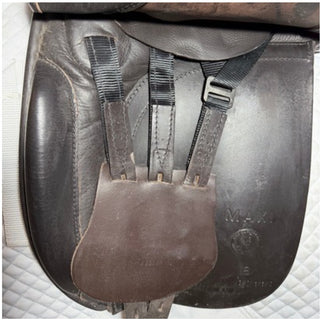 Black Country Shire / Maxi Show Brown 18" XW
