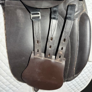 Black Country Shire / Maxi Show Brown 18" XW