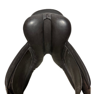 Black Country Shire / Maxi Show Brown 18" XW