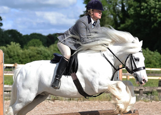 Person riding a white horse jumping over a wooden fence in an outdoor equestrian setting.
