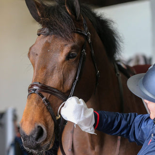 Carr & Day & Martin Belvoir® Tack Cleaner Mitts 2 | Saddles Direct