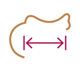 BENCH ADJUSTMENT 1 | Saddles Direct