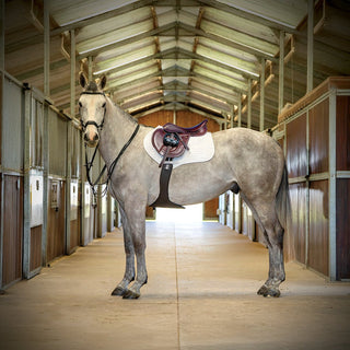 Fairfax Aries Jump 7 | Saddles Direct