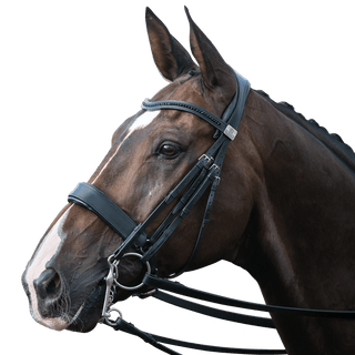 Fairfax Complete Double Bridle with Cavesson Noseband 1 | Saddles Direct