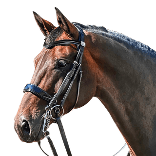 Fairfax Complete Double Bridle with Patent Cavesson Noseband and Browband 1 | Saddles Direct