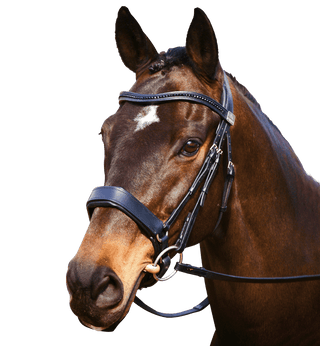 Fairfax Complete Snaffle Bridle with Cavesson Noseband 1 | Saddles Direct