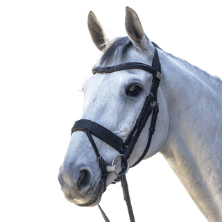 Fairfax Complete Snaffle Bridle with Flash Noseband 1 | Saddles Direct