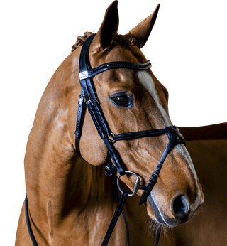 Fairfax Complete Snaffle Bridle with Grackle Noseband 1 | Saddles Direct