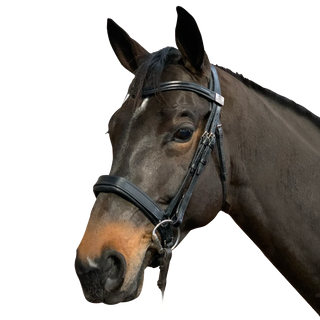 Fairfax Complete Snaffle Bridle with Narrow Cavesson Noseband 1 | Saddles Direct