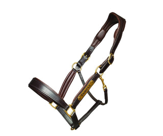 Fairfax Rio Leather Headcollar 1 | Saddles Direct