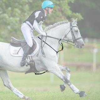 Fairfax Running Martingale 3 | Saddles Direct