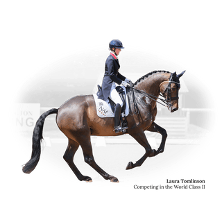 Fairfax World Class Dressage II 4 | Saddles Direct