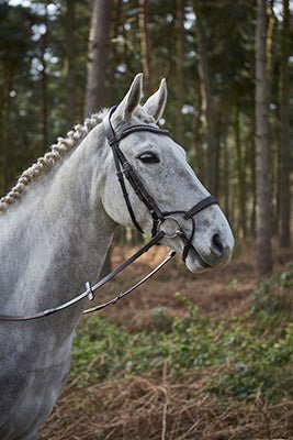 GFS HARMONY BRIDLE 2 | Saddles Direct