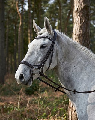 GFS HARMONY BRIDLE 3 | Saddles Direct