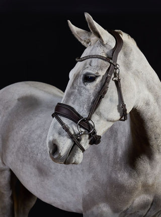 GFS PREMIER PRIME BRIDLE 2 | Saddles Direct