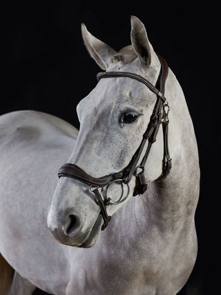 GFS PREMIER PROSPERITY BRIDLE 2 | Saddles Direct